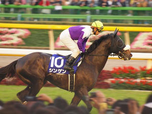PB019170shuusei.JPG
