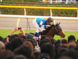 PB019208shuusei.JPG