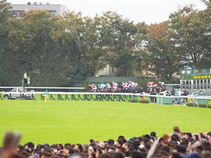 PB019261shuusei.JPG