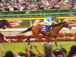 PB019306shuusei.JPG