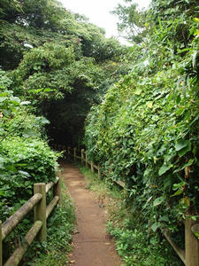 PA145497shuusei.JPG