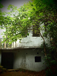 PA145503shuusei.JPG