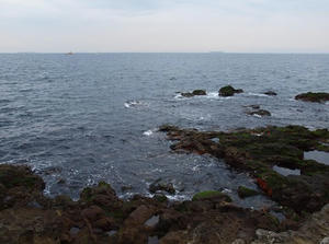 PA145519shuusei.JPG