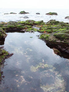 PA145525shuusei.JPG