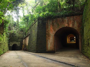 PA145530shuusei.JPG