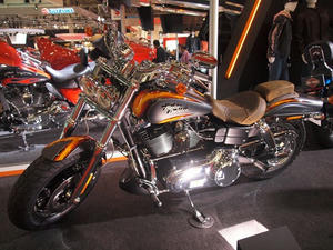 PA288449shuusei.JPG