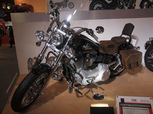 PA288451shuusei.JPG