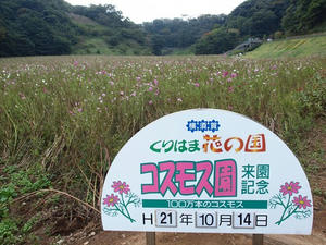PA145638shuusei.JPG