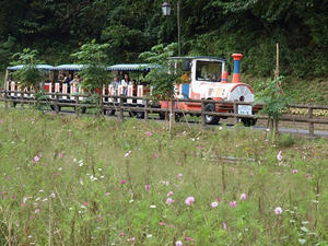 PA145637shuusei.JPG