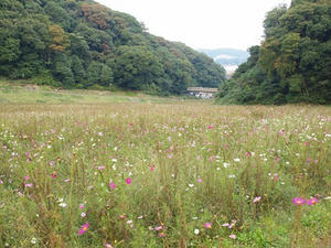 PA145656shuusei.JPG