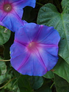 PA145704shuusei.JPG