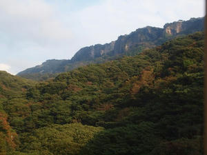 PA145806shuusei.JPG