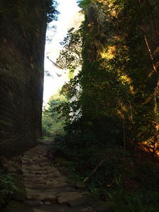 PA145831shuusei.JPG