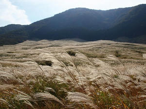 PA206070shuusei.JPG