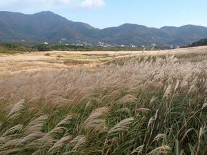 PA205934shuusei.JPG