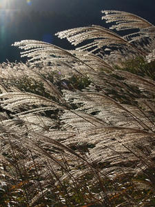 PA206023shuusei.JPG