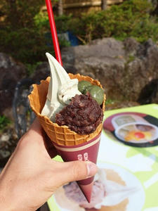 PA206062shuusei.JPG