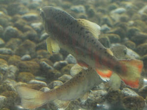 PA206236shuusei.JPG