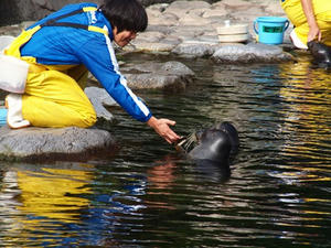 PA206441shuusei.JPG