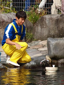 PA206446shuusei.JPG