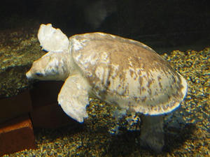 PA206372shuusei.JPG