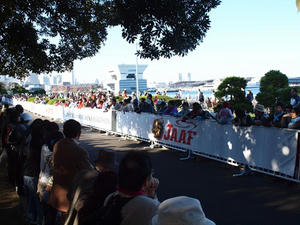 PB150546shuusei.JPG