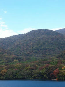 PA206533shuusei.JPG