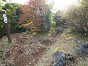 PA206564shuusei.JPG