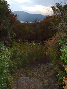PA206568shuusei.JPG