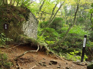 PA206588shuusei.JPG