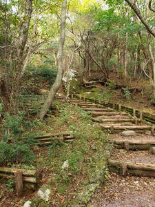 PA206594shuusei.JPG