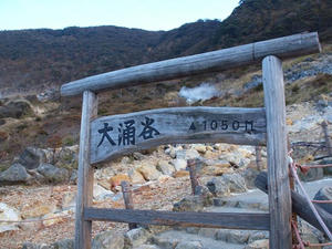 PA206621shuusei.JPG
