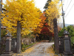 PB109529shuusei.JPG