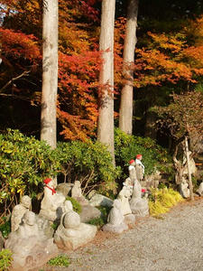 PB109542shuusei.JPG