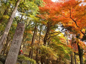PB109548shuusei.JPG