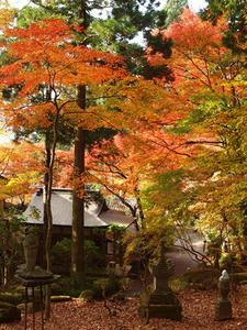 PB109555shuusei.JPG