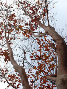 PB109649shuusei.JPG