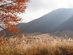 PB109702shuusei.JPG