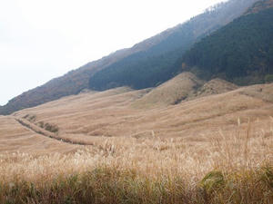 PB109710shuusei.JPG