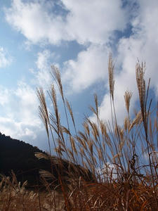 PB109723shuusei.JPG