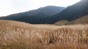 PB109739shuusei.JPG