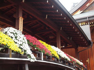PB140219shuusei.JPG