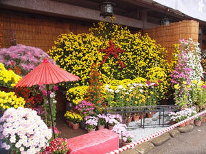 PB140221shuusei.JPG