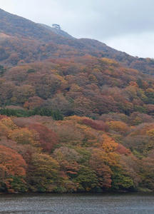 PB109855shuusei.JPG