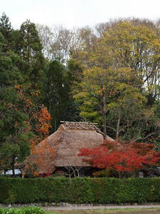 PB181356shuusei.JPG