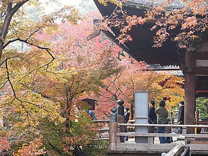 PB253028shuusei.JPG