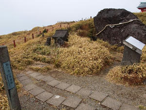PB109968shuusei.JPG