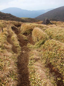 PB109978shuusei.JPG