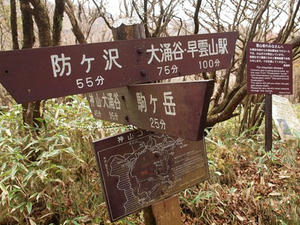 PB109992shuusei.JPG