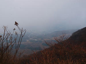 PB100011shuusei.JPG